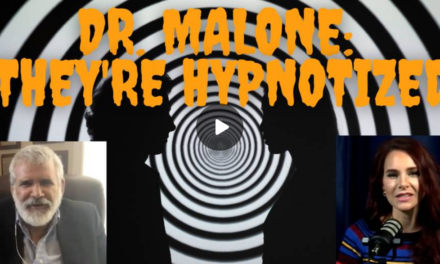 DR Robert Malone on Mass Formation Psychosis