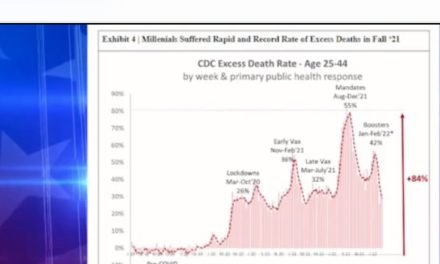 CDC Excess Death Rate