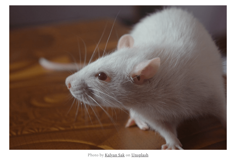 Newly Released Pfizer Document – Vaccination Effects on Fertility in Rats from 2020