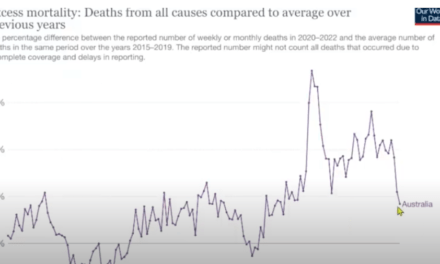 International Concern, Excess Deaths