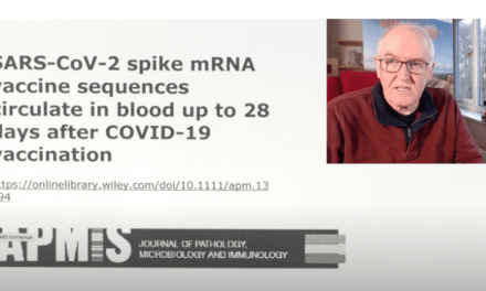mRNA in Blood After 28 Days