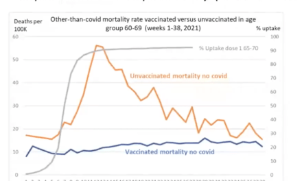 Mortality By Vaccination Status ONS Critique