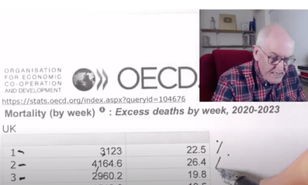 Excess Deaths in 2023 Confirmed