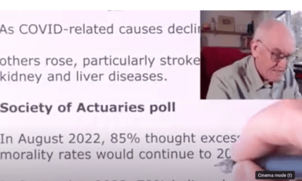 Excess Deaths in 2023