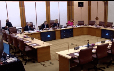 Australia COVID Royal Commission Terms of Reference Inquiry