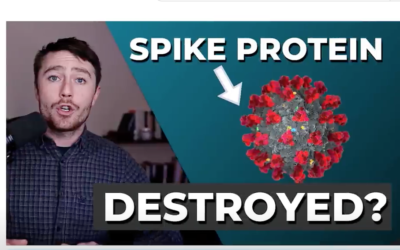 This Destroys Spike Protein? 2024 Update