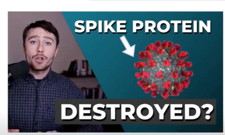 This Destroys Spike Protein? 2024 Update