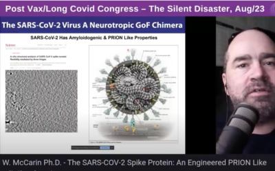 Spike Protein an Engineered Prion Protein? 