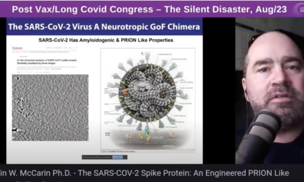 Spike Protein an Engineered Prion Protein? 